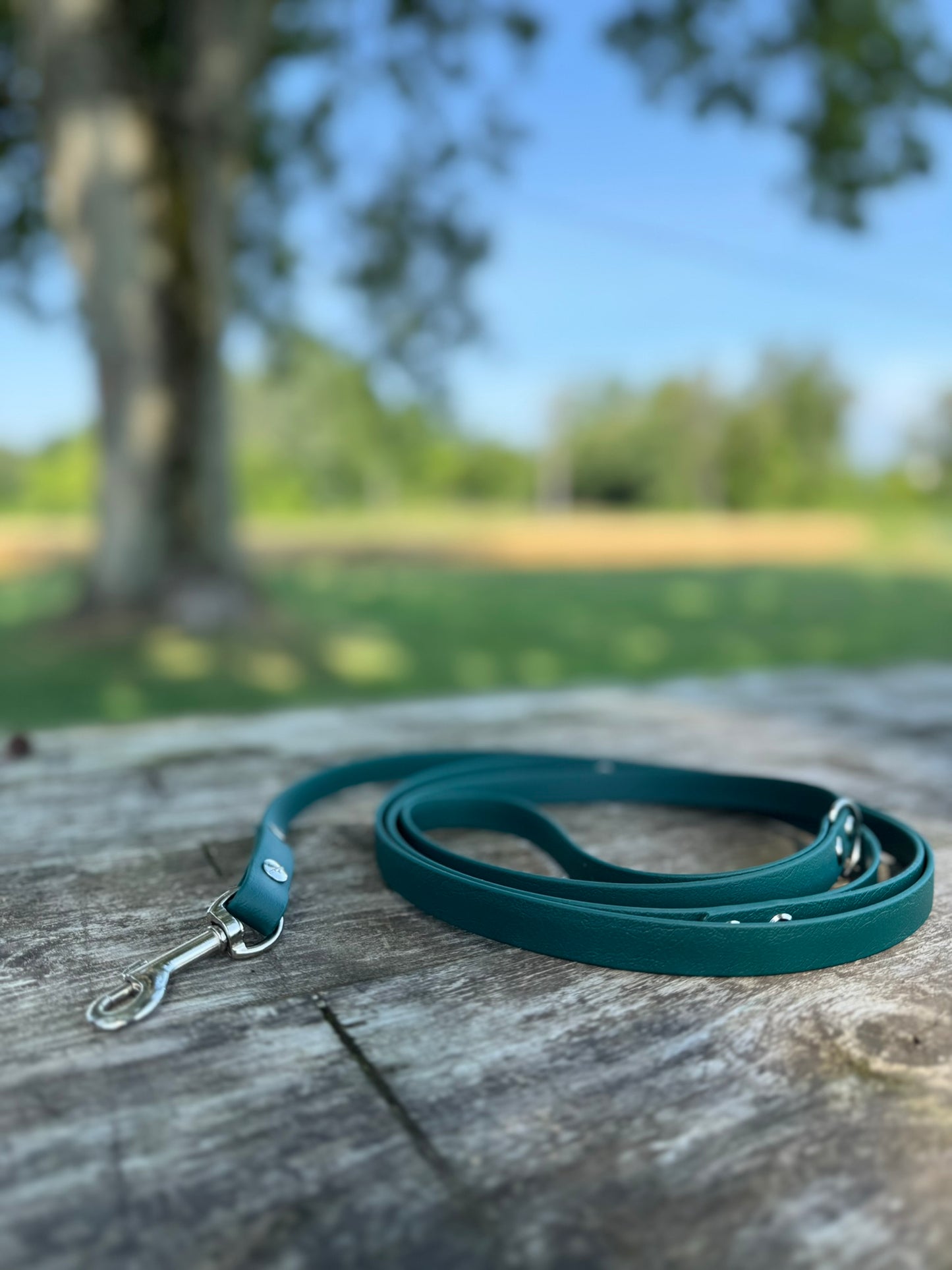 5/8" Standard Leash with Traffic Handle