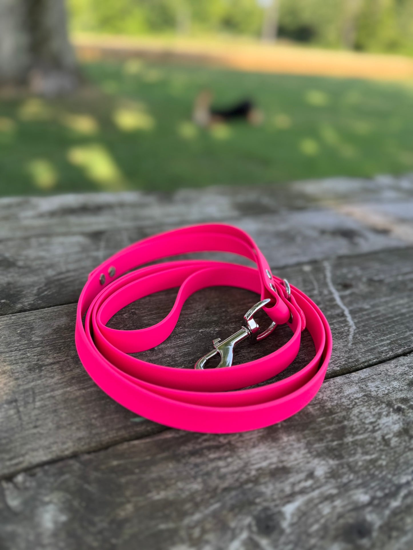 3/4" Standard Leash with Traffic Handle