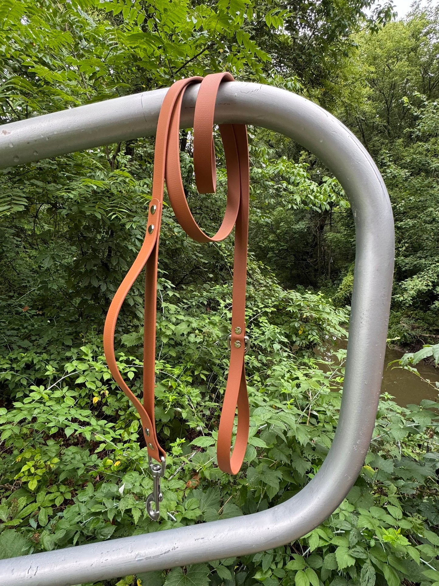 3/4" Standard Leash with Traffic Handle