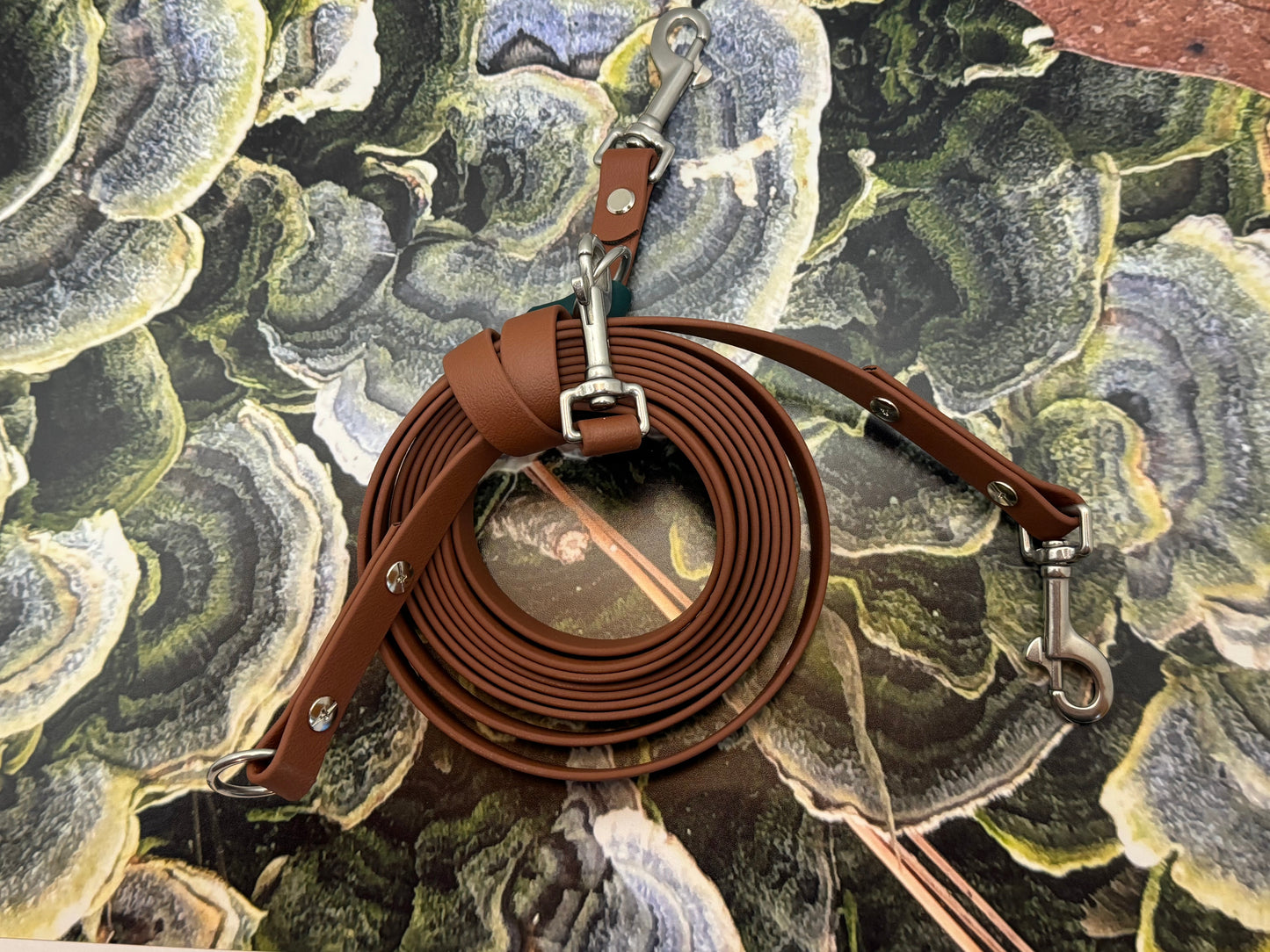 3-in-1 Adventure Lead