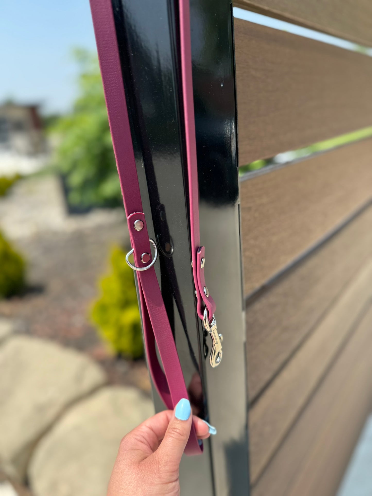 5/8" Standard Leash with Traffic Handle