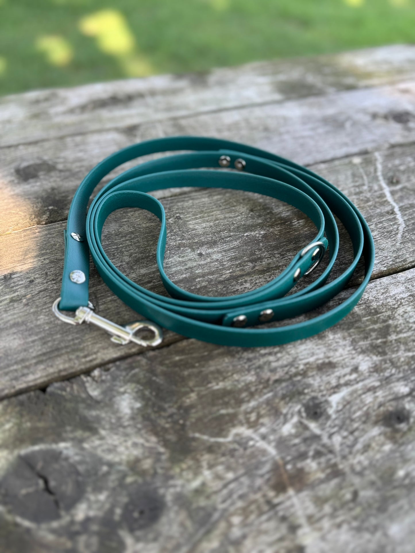 Standard Leash with Traffic Handle (5/8")