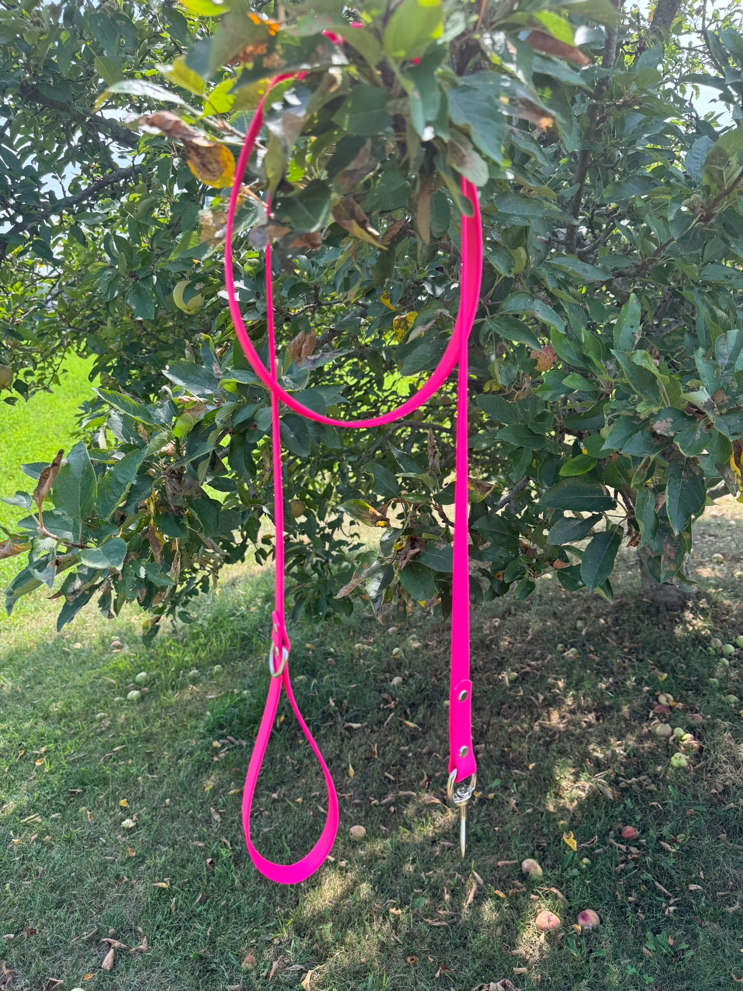 3/4" Standard Leash with Traffic Handle