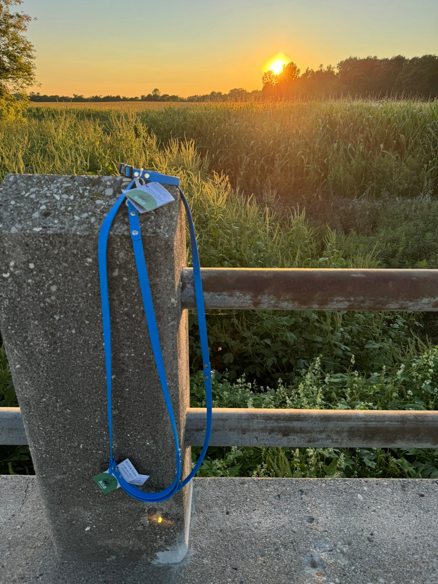 Hands Free Multi-function Leash