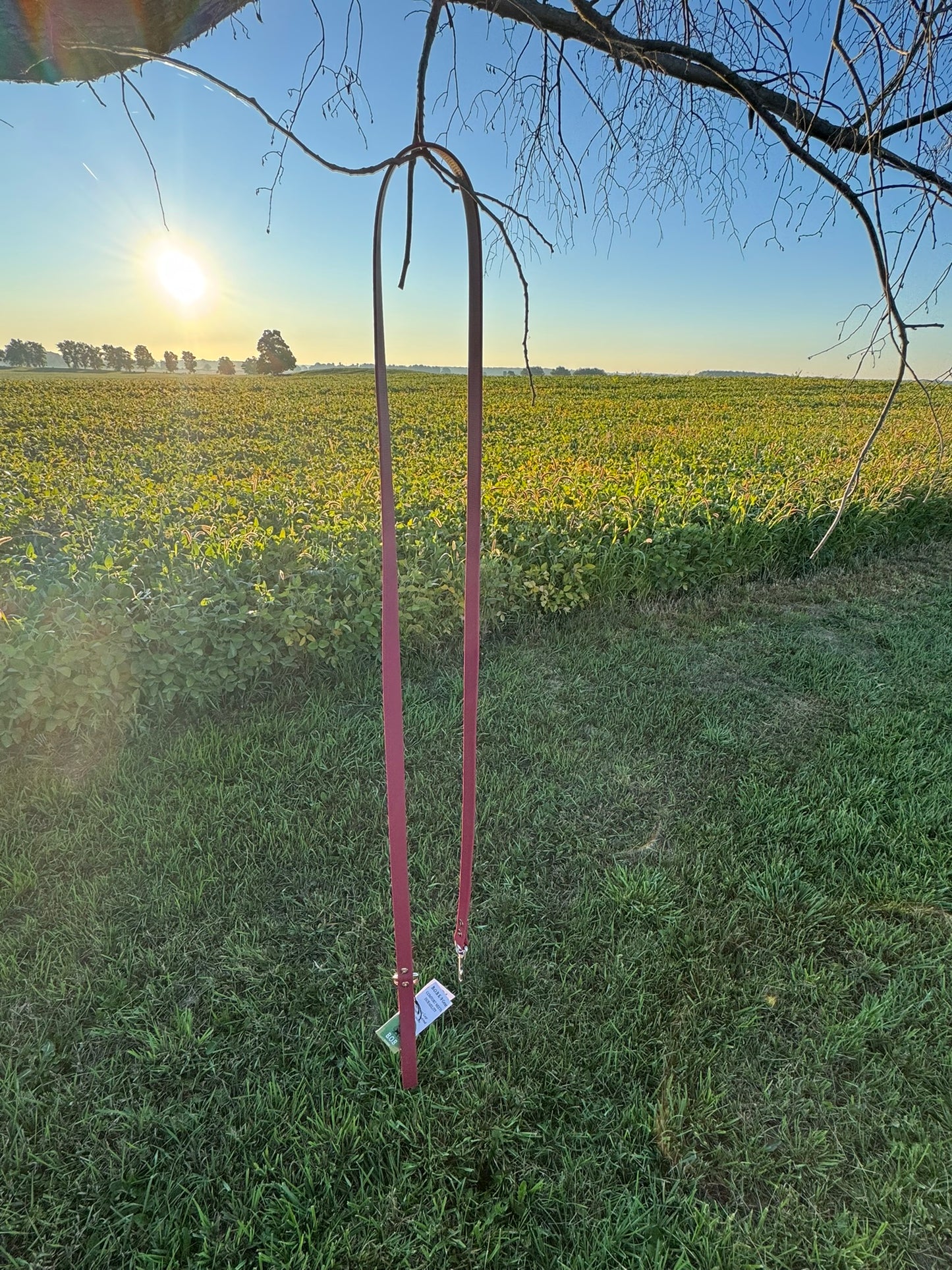 3/4" Standard Leash (no traffic handle)