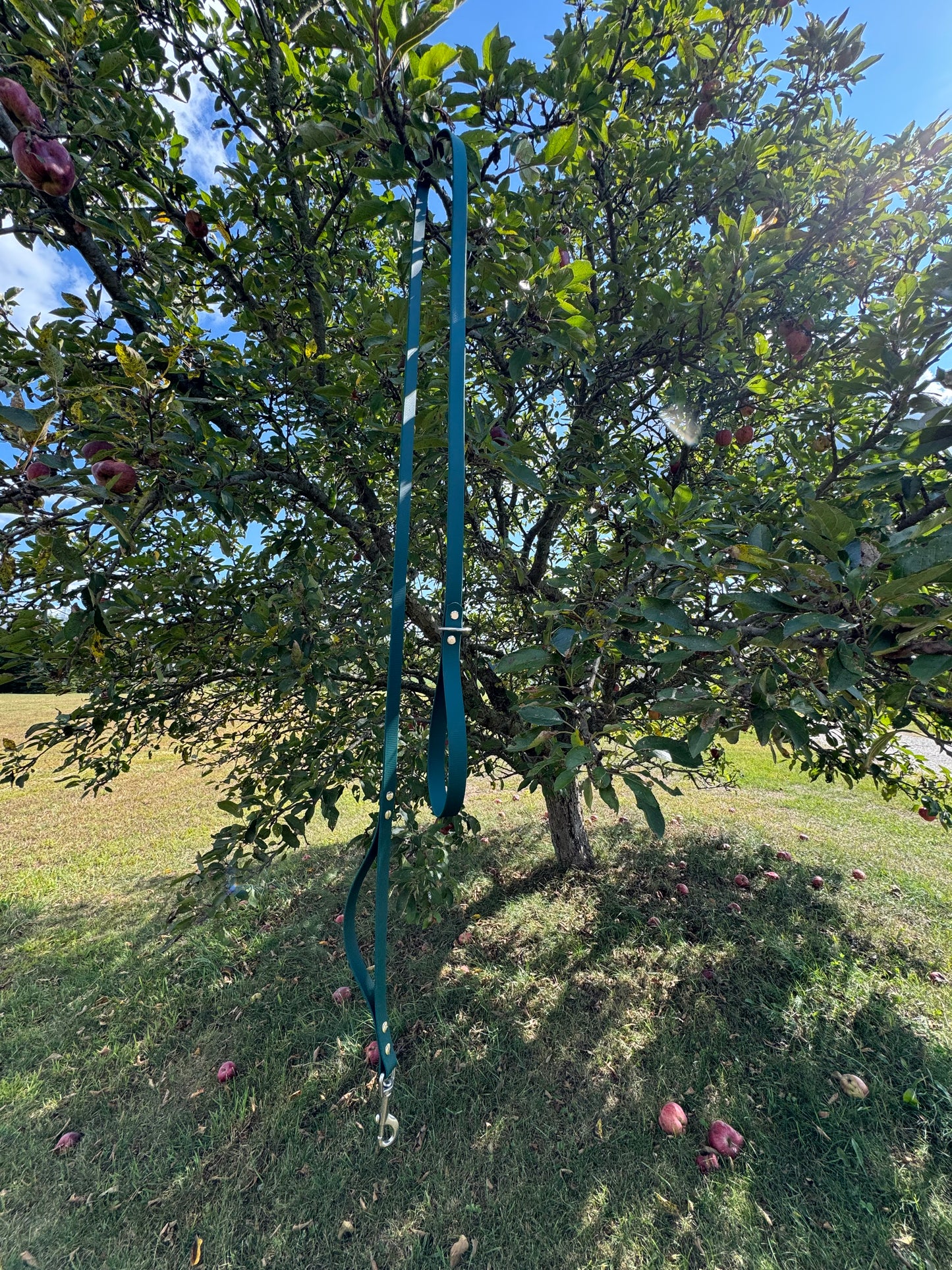 Standard Leash with Traffic Handle (3/4")