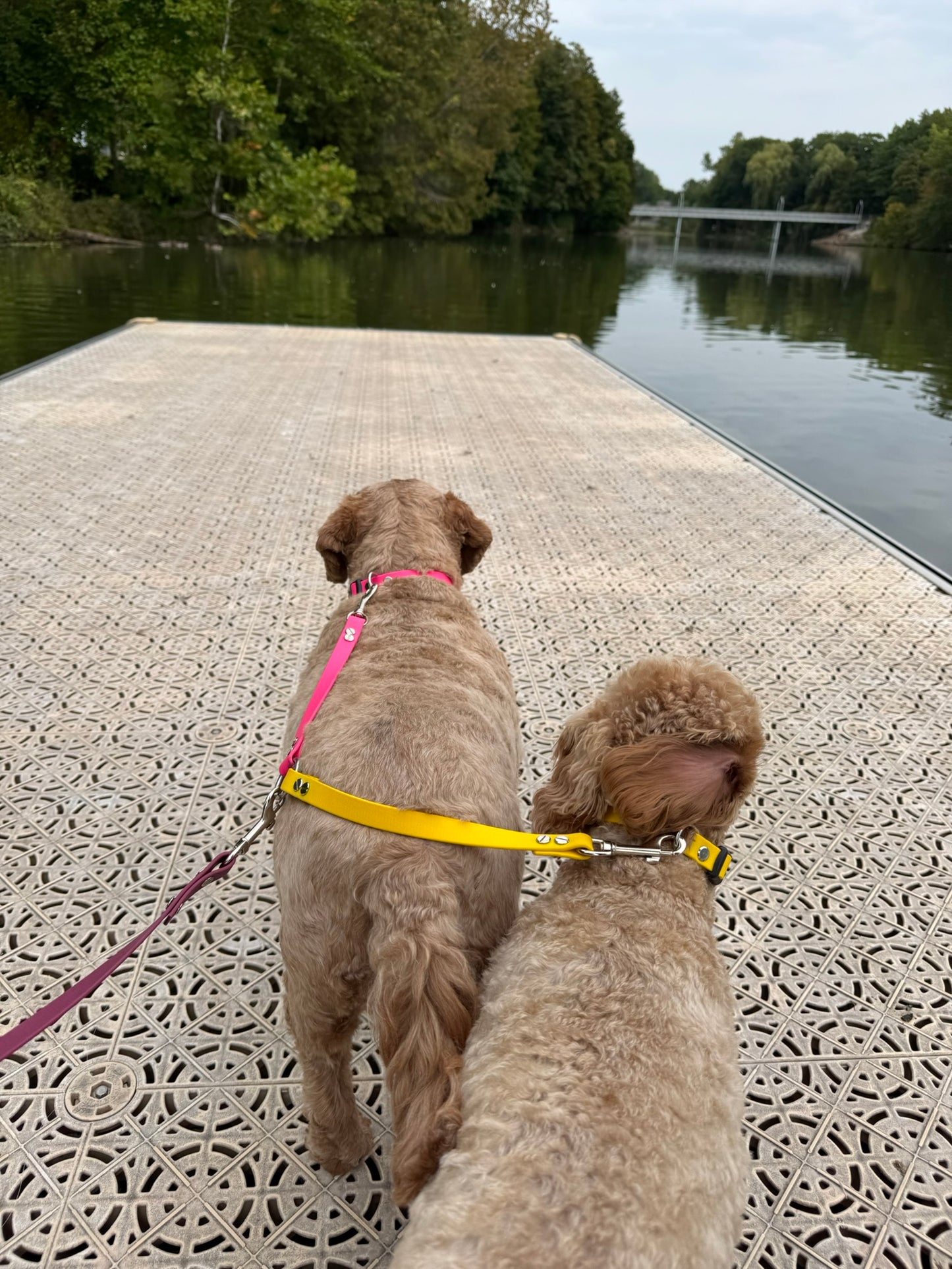 Leash Coupler