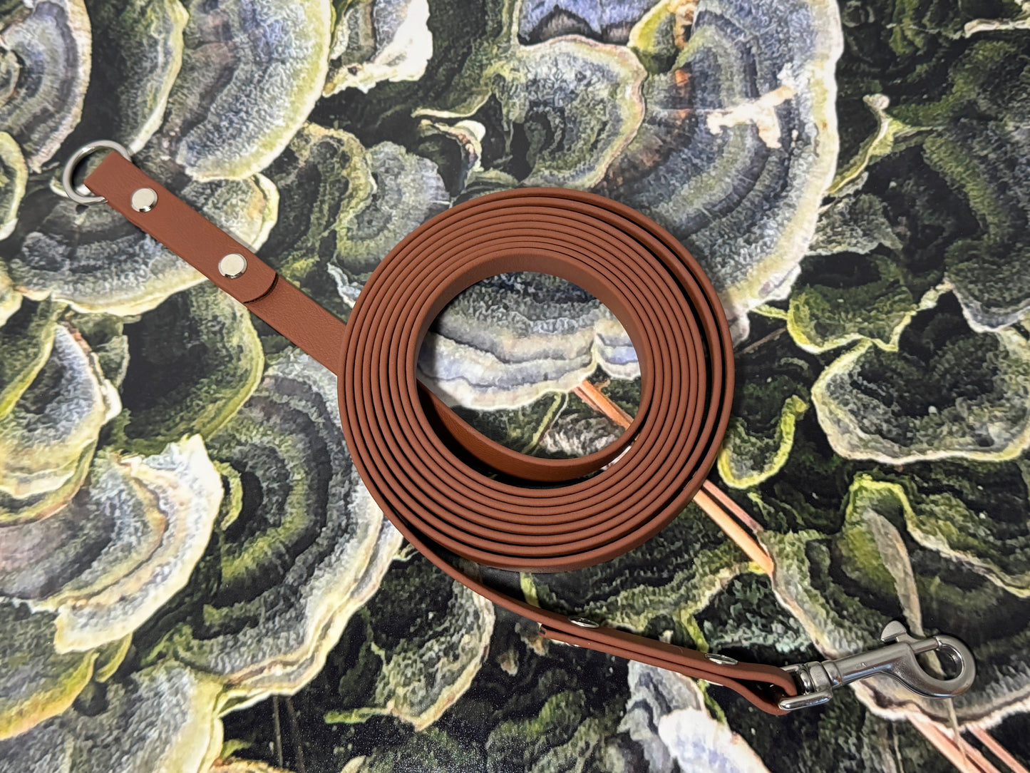 3-in-1 Adventure Lead