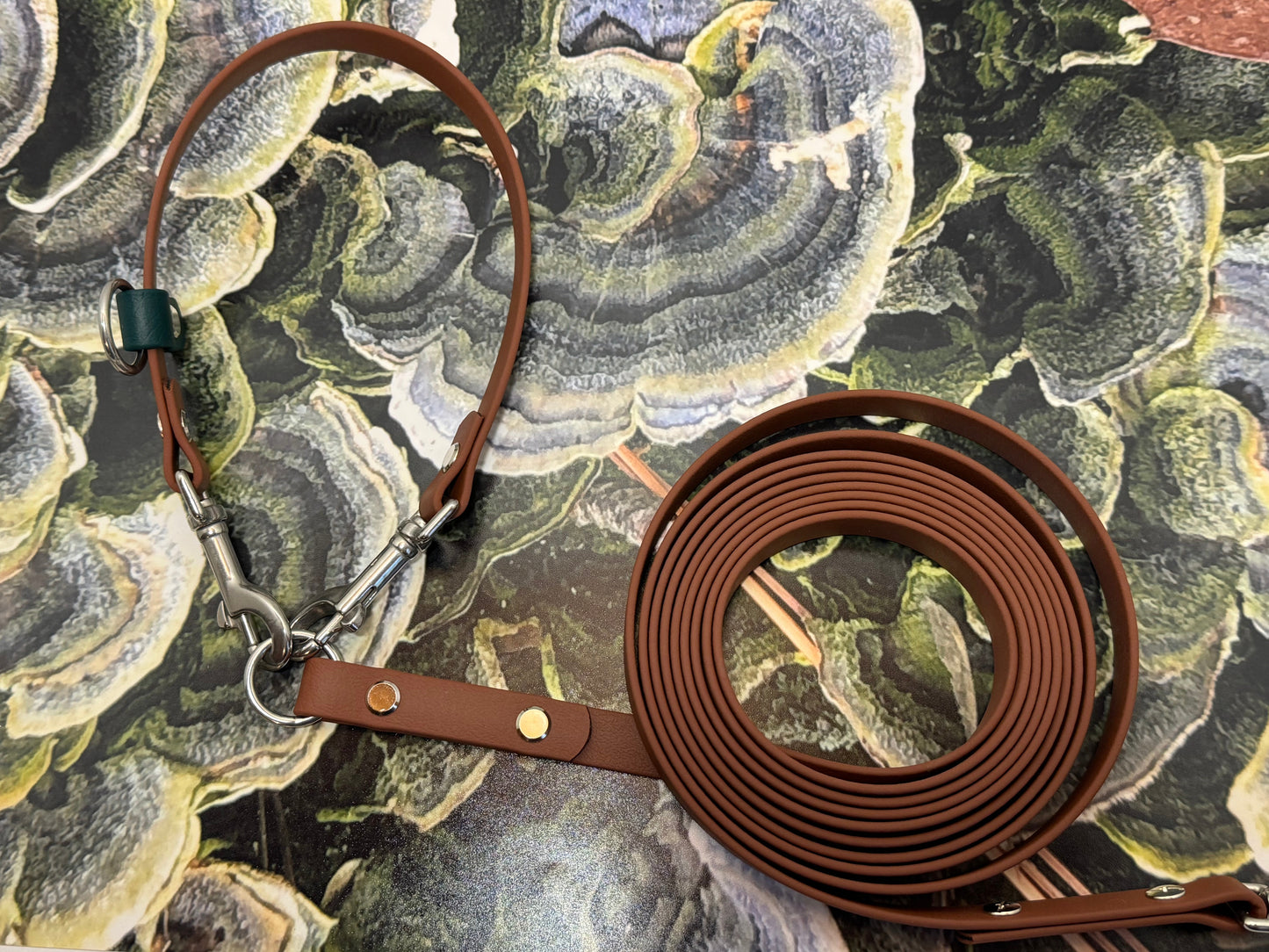 3-in-1 Adventure Lead