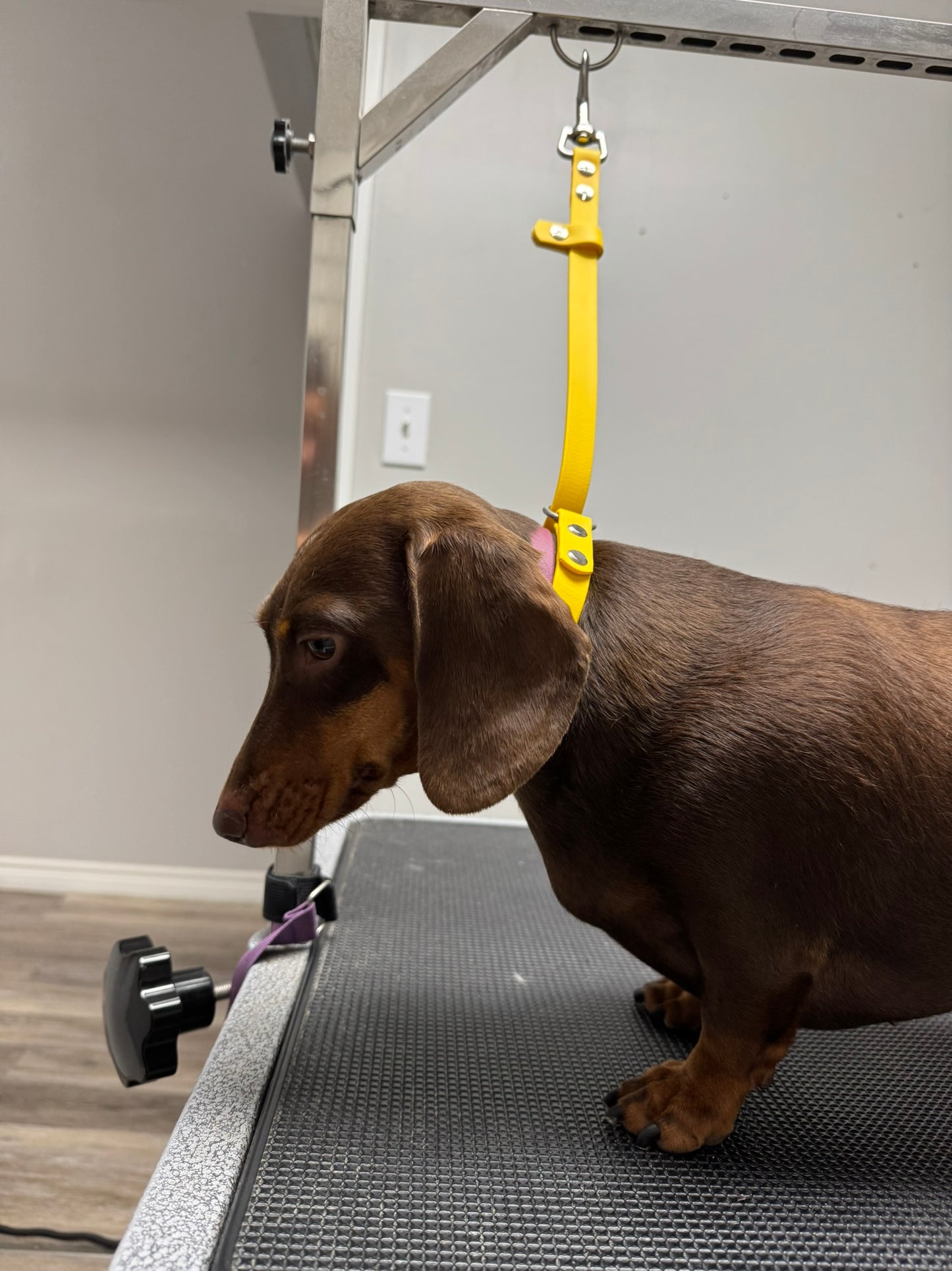 Grooming Slip Loop