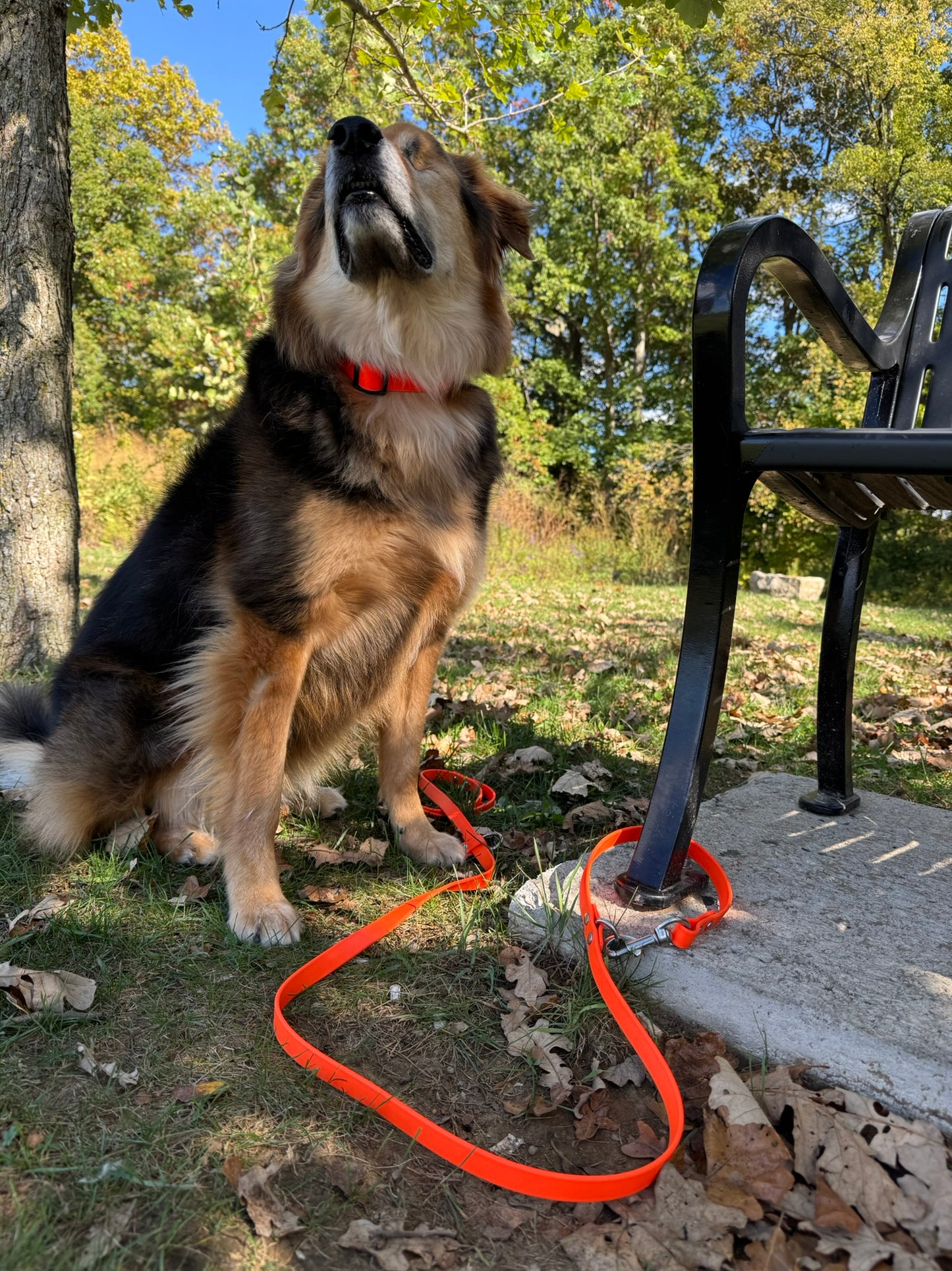 Hands Free Multi-function Leash