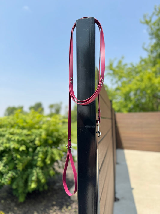 5/8" Standard Leash with Traffic Handle