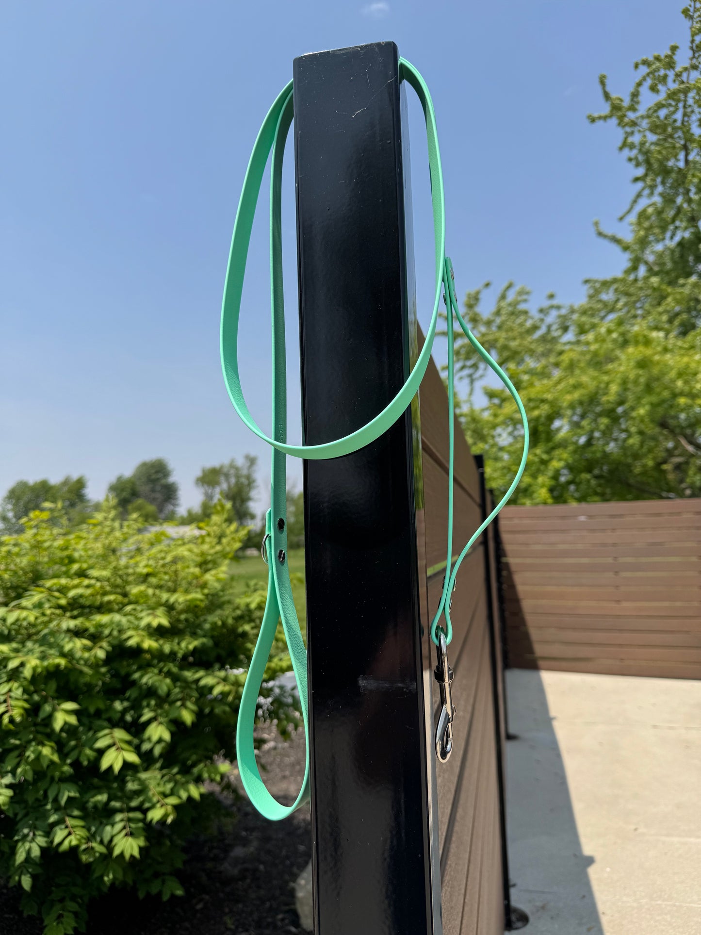 3/4" Standard Leash with Traffic Handle